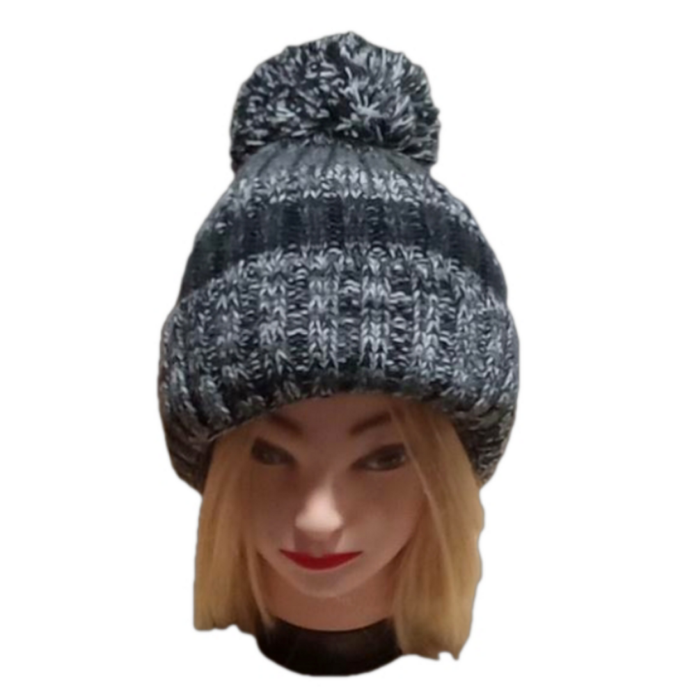 ( 365 ) COLUMBIA ADULT WINTER BEENIE / HAT NWOT.